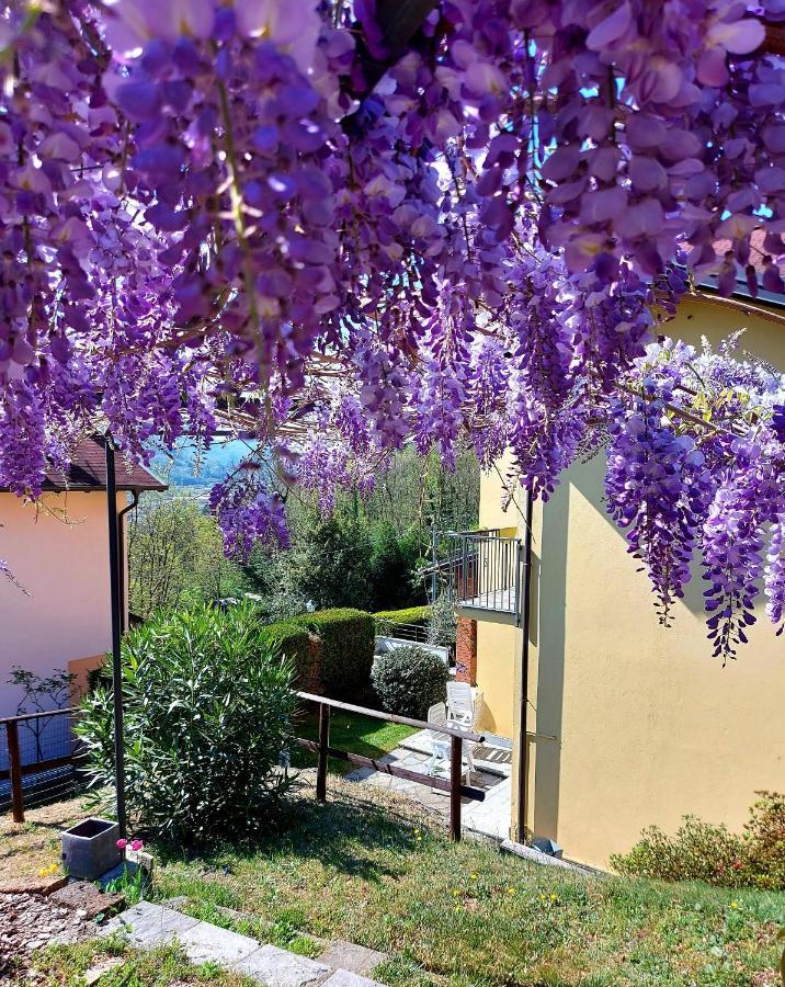 Casa Vacanza Il Glicine Casale Corte Cerro Exteriör bild
